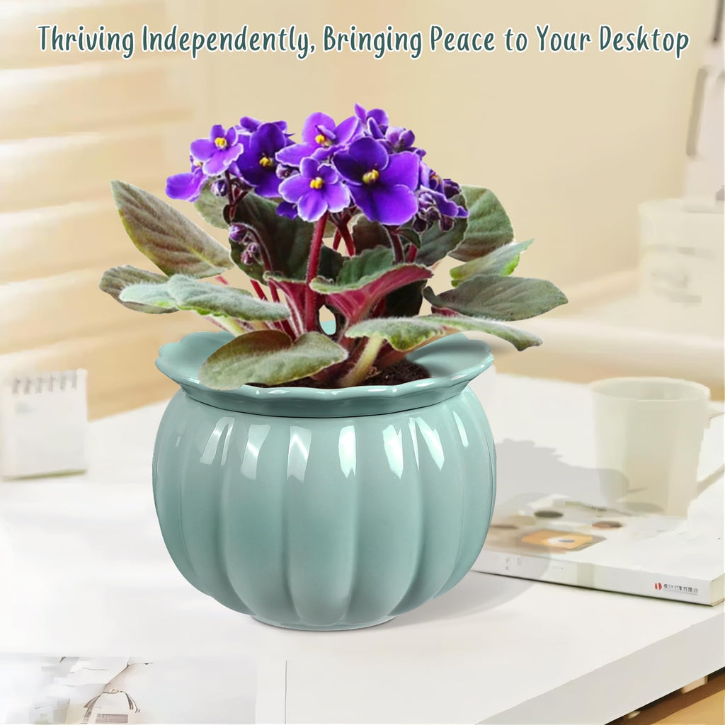 Self Watering African Violet Pot 6in Ceramic Planter-Blue