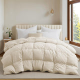 Goose Feather Down Fiber Comforter Queen, All Season Duvet Insert with Soft Downproof Cover