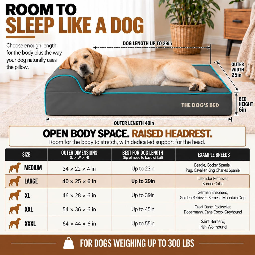 The Dog's Bed Orthopedic Memory Foam Dog Bed with Headrest Large 6-Inch