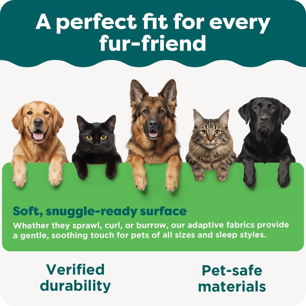 Orthopedic Dog Bed for Large Dogs w/ Removable Bolsters & Washable Cover, For Dogs Up to 95 lbs - Plush & Velvet