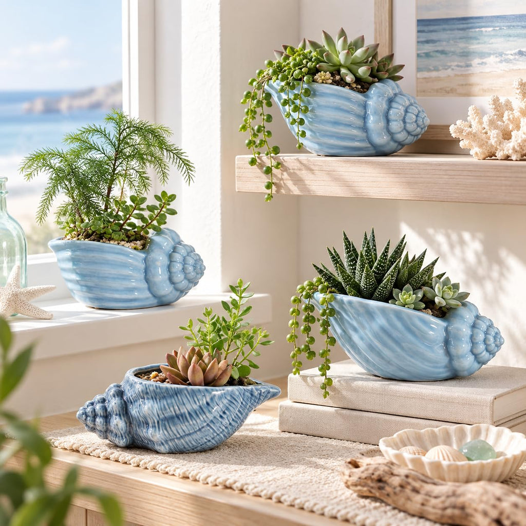 5.5" Conch Shell Succulent Pots, Ceramic Ocean Planters with Hole, 4 Pack