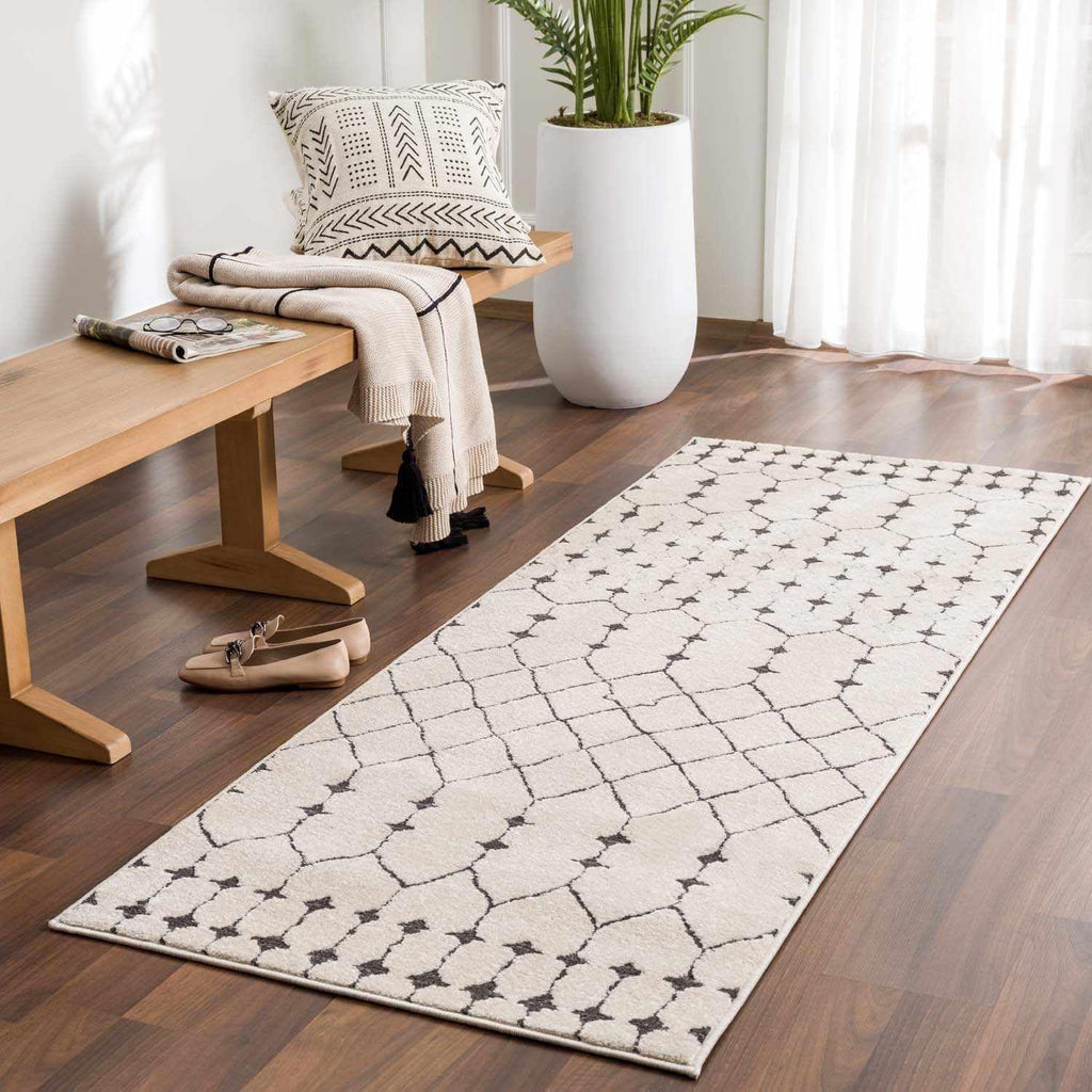 Chubbuck Living Room, Bedroom Area Rug - Trellis Geometric Diamond Lattice - Bohemian Moroccan Modern Contemporary