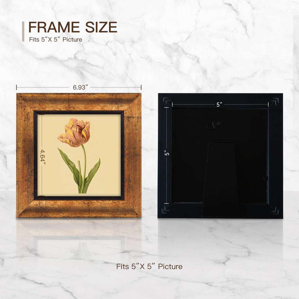 5x5 Picture Frames Set of 4, Rustic Retro Photo Frame(Gold)