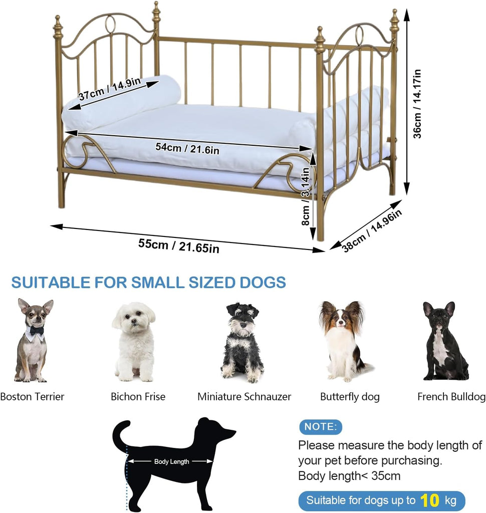 Pet Bed, Dog Bed with Metal Frame and Detached White Velvet Cushion with 2 Pillow for Small Dog