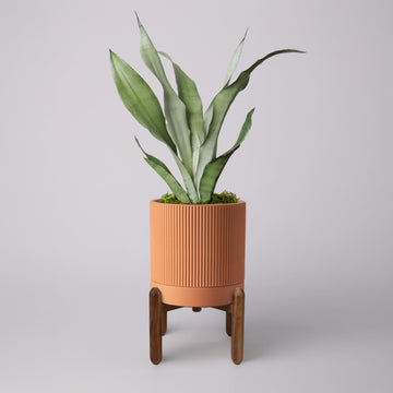 Large Terracotta Pots, 8 Inch Clay Planter Pots with Drainage Hole & Saucer (with Stand), Garden Planters for