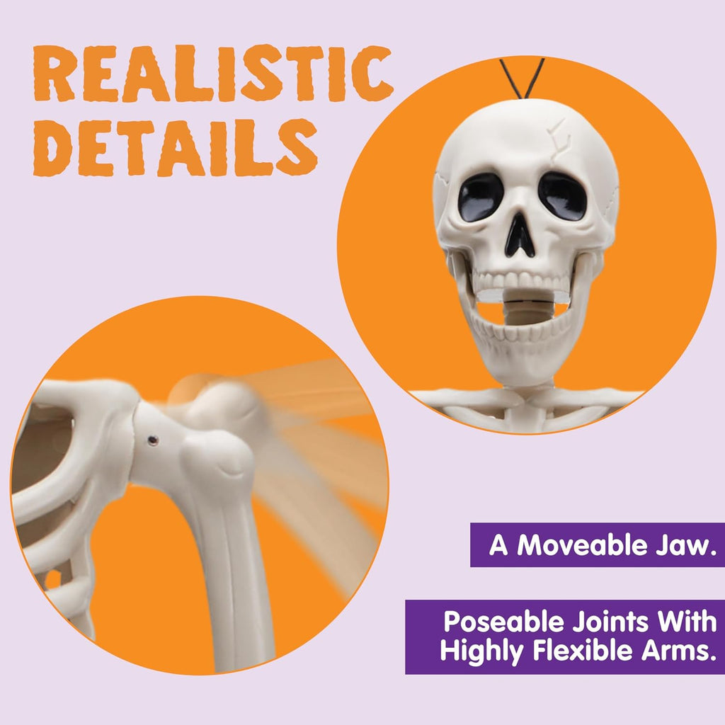 Posable Halloween Skeleton Decor 16 Inches, Full Body Posable Joints Hanging Skeletons for Halloween - Set of 5