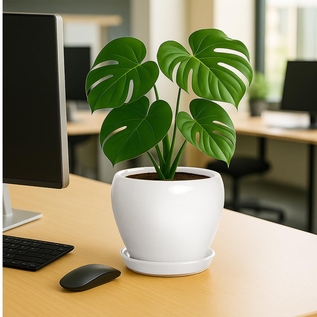 8 Inch Plant Pot - Ceramic Planter with Drainage Hole and Trays, Modern Round Flower Pot, Planters for Indoor Outdoor