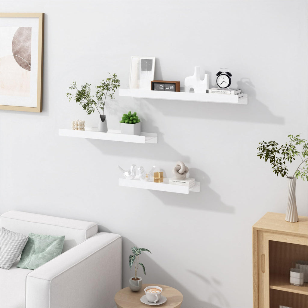 Floating Shelves for Wall, Wall Mounted Shelves with Lip for Storage, Metal Display Shelves Decor, Kitchen/Living