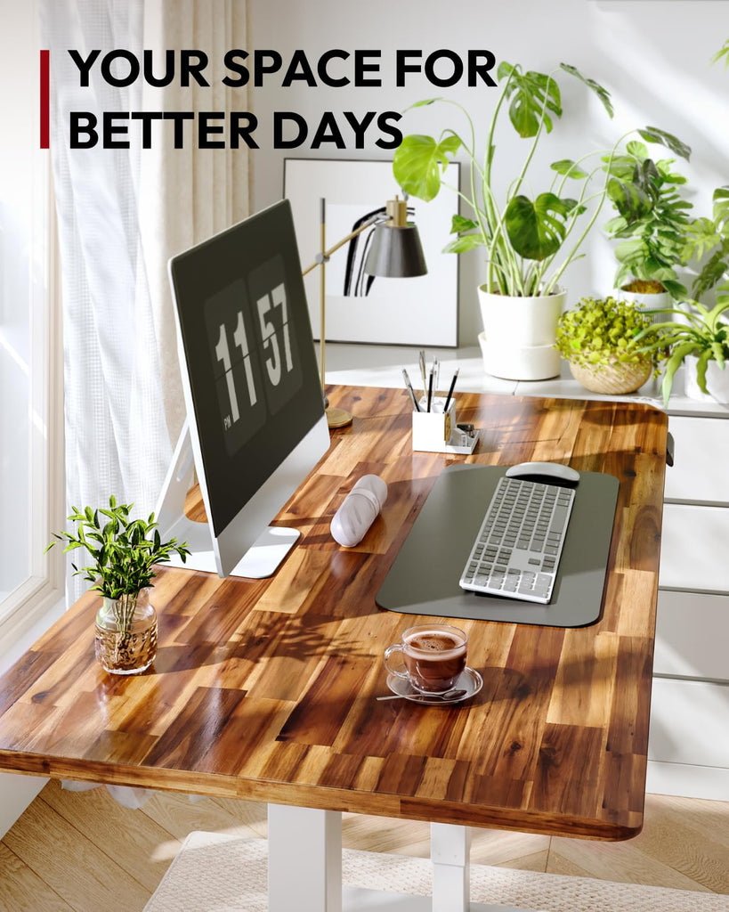 Solid Wood Dual Motor Standing Desk-48"x24"-Natural/White