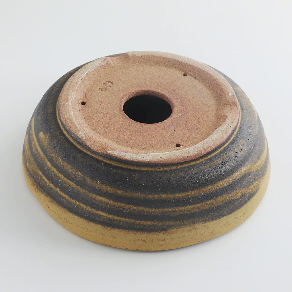 Shigaraki Series Yellow Dust Stripe Glazed Ceramic Bonsai Pot