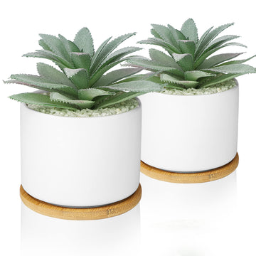 Faux Agave Succulent Plant in Ceramic Pots Bamboo Tray, Set of 2