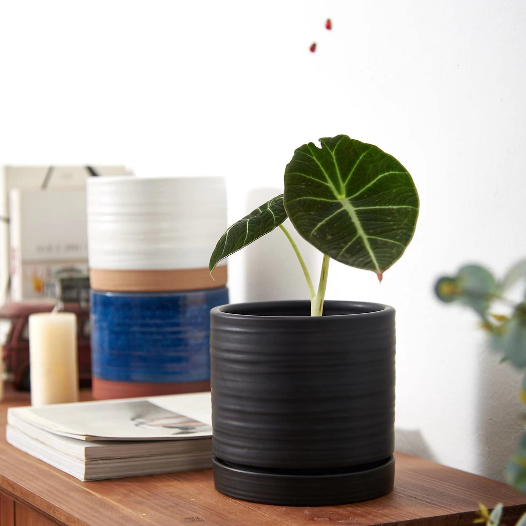 6 Inch Plant Pots, Ceramic Planter Pot with Drainage Hole & Saucer, Indoor/Outdoor Cylinder Round Planter Pot, Matte