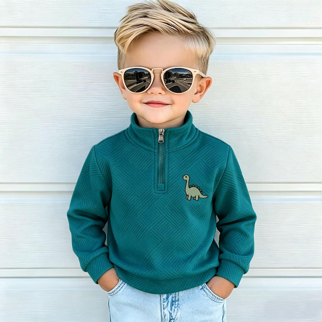Boys Quarter Zip Sweatshirt Dinosaur Embroidery Pullover