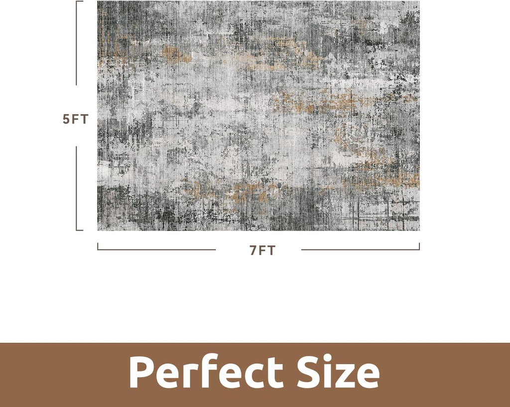 5 x 7 Area Rugs for Living Room, Machine Washable Non Slip Rug Ultra Soft Low Pile Indoor Carpet Modern Abstract Rugs