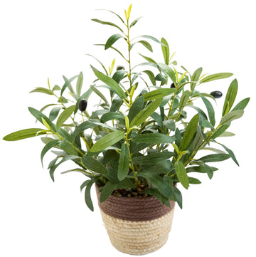 17" Artificial Olive Potted Plant in Handwoven Basket Home Decor