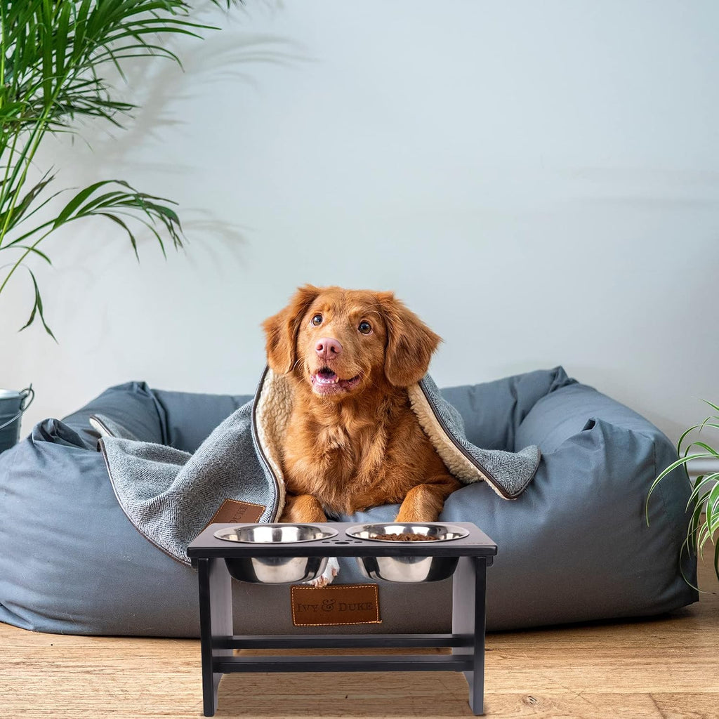 Elevated Dog Bowl Stand with 2 Stainless Steel Bowls-10 H Large Black