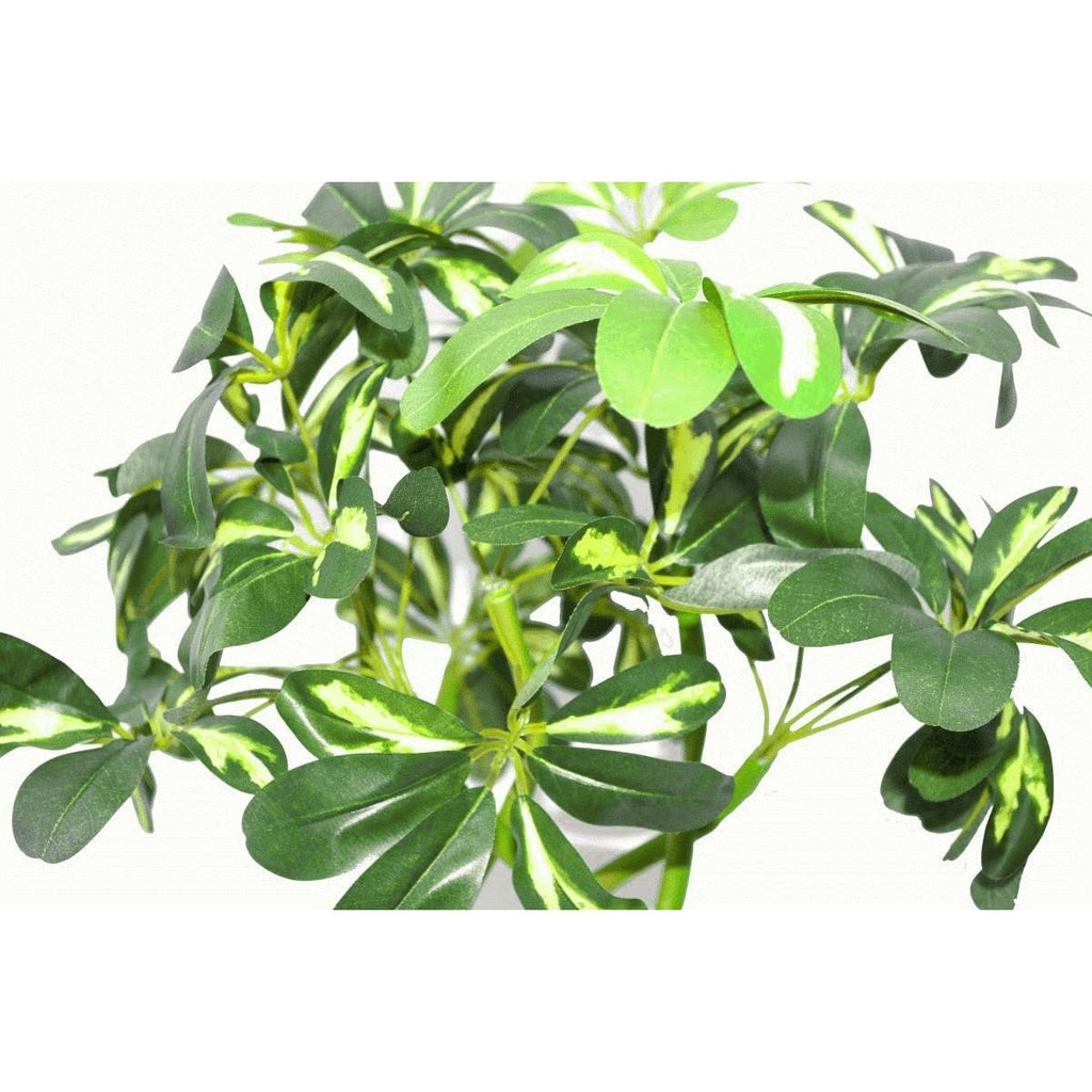 Artificial Schefflera Arboricola Foliage Plant (Umbrella Tree), Mixed Materials, Bonsai Twist, 70cm