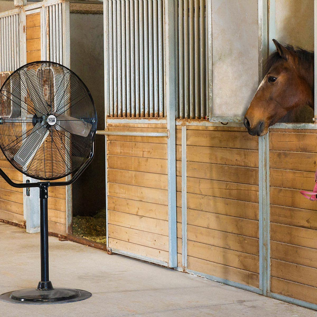 Industrial 30" Pedestal Fan, Powerful Heavy Duty Commercial Fan for Warehouses, Factories, and Large Spaces