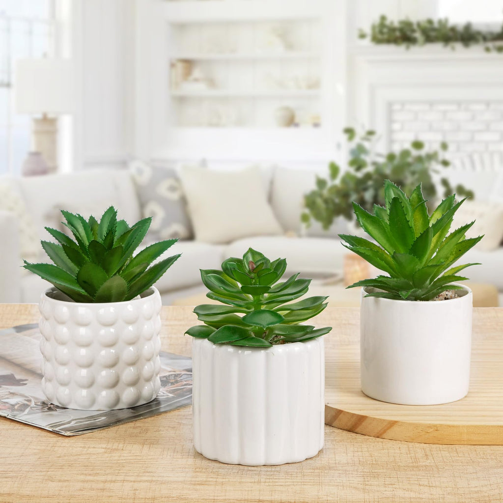 Succulents Plants Artificial in White Ceramic Pots (Set of 3), Small Fake Plants Desk Decor - Modern Mini Potted