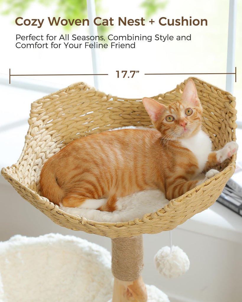 Modern Cat Tree for Large Cats, Wood Cat Tower for Indoor Cats, Real Branch Luxury Cat Furniture with Super Large