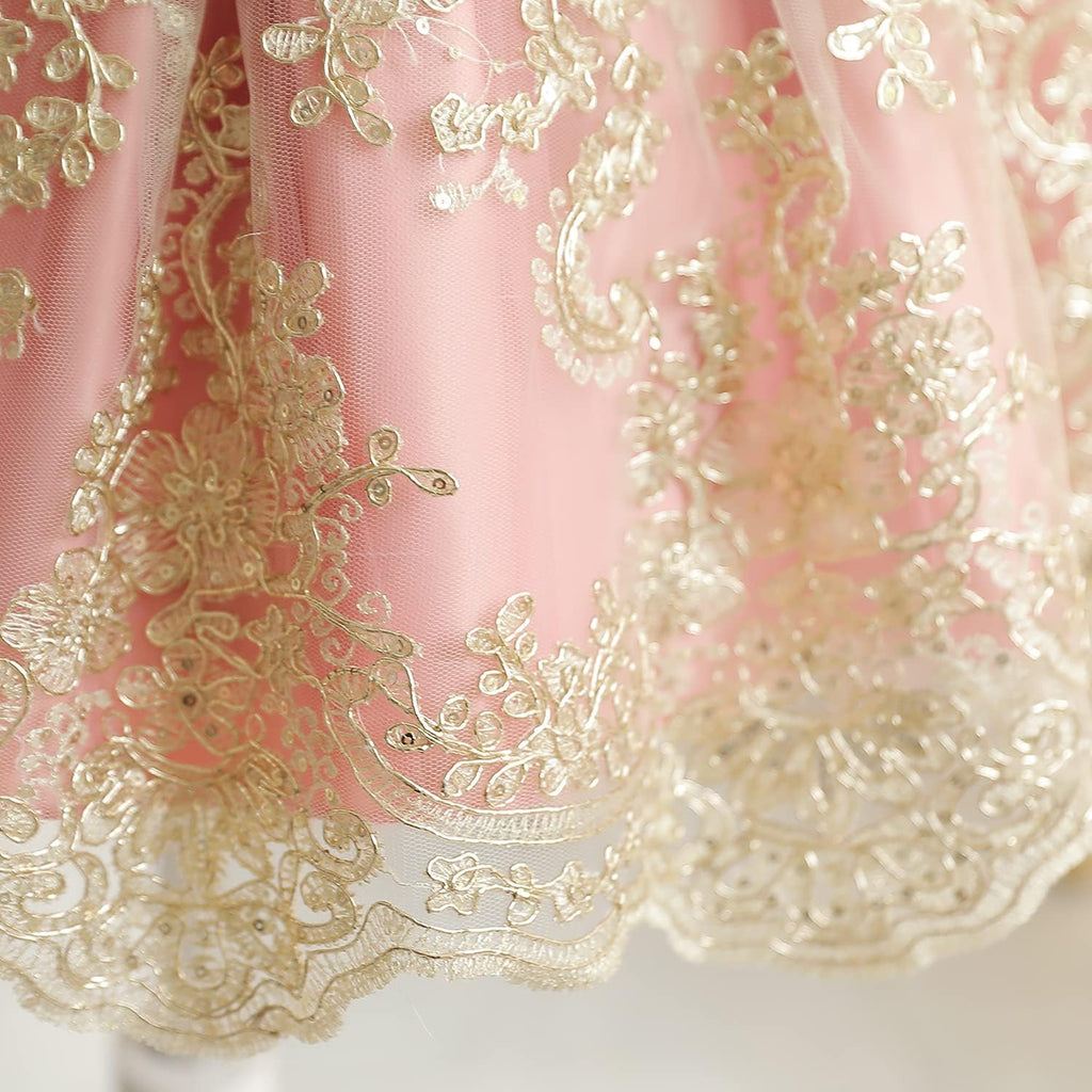 Baby Girl Tutu Dress Princess Lace Embroidery Wedding Party Gown
