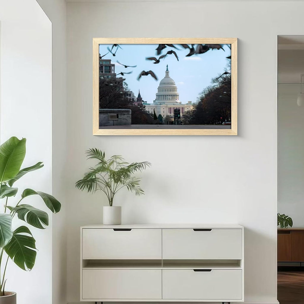 24x36 Frame Natural Wood, Display 20x30 with Mat or 16x24 Without Mat, Wall Hanging Poster Frames with Plexiglass