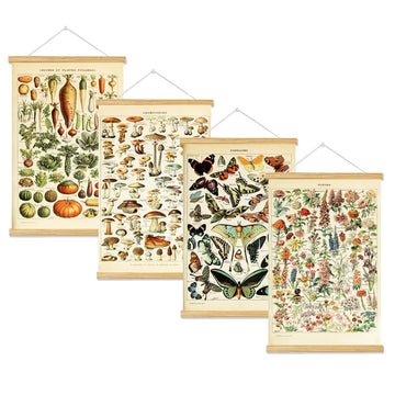 Vintage Flowers Poster Hanger Frame, Plant Floral Reference Chart Wall Decor Cottagecore Room Decor Aesthetic, Retro