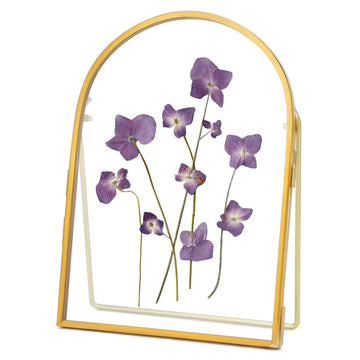 Double Glass Frame for Pressed Flowers Handmade, Arc, Gold, 5x7 in