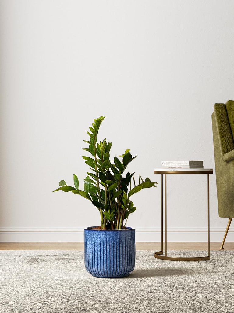 Ceramic Plant Pots, 8.3/7/6 Inch Indoor Planters with Drainage Holes & Mesh, Modern Glossy Glaze Cylinder Fluted