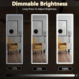 Full Length Mirror with LED Lights, 65"x21" Lighted Floor Mirror with Dimming & 3 Color Lighting, Stand , Dressing Room