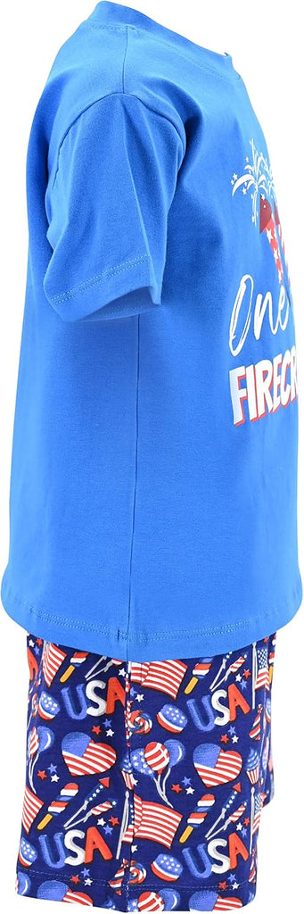 Boys 2pc Shorts Set Outfit Short Sleeve Shirt with Fun Applique Print and Shorts