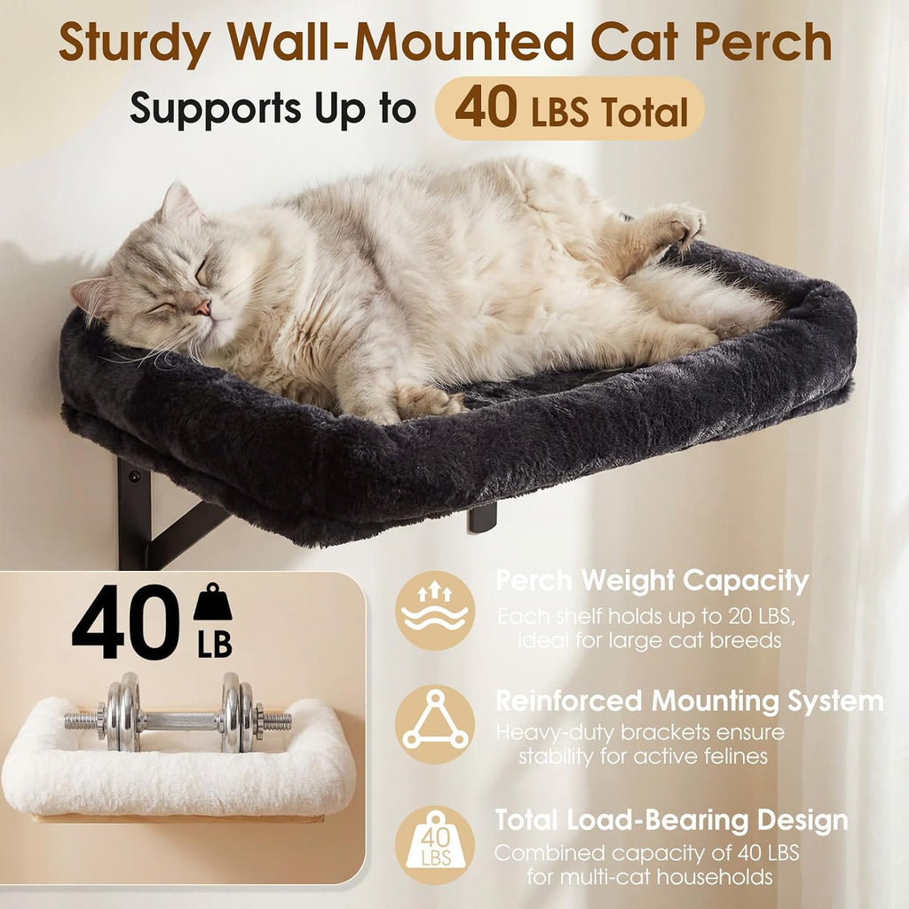 5-in-1 Cat Wall Shelves for Large Cats, Floating Climber with Scratcher