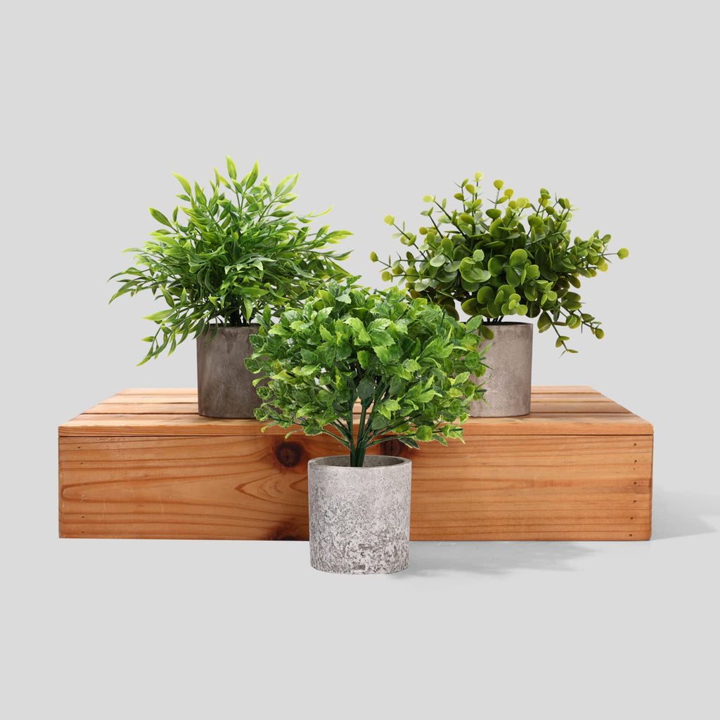Decorative Artificial Plants in Pots Set of 3-Mini Potted Fake Plants in Pots, Plastic Eucalyptus Plants, Bamboo, Turtle