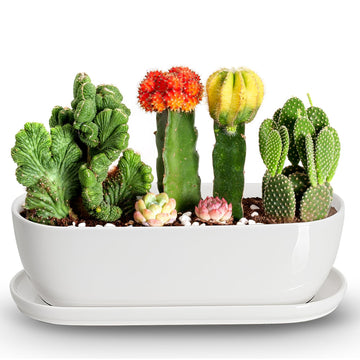 14 Inch Oval Ceramic Planter Pot with Drainage Hole Saucers