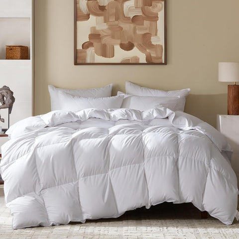 Queen Goose Feather Down Fiber Comforter - Ultral Soft All-Season Down Duvet Insert Fluffy Baffle Bo