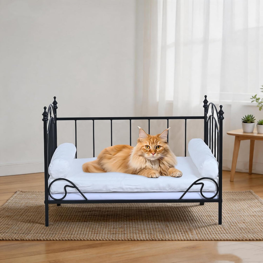 Pet Sofa Bed, Cat Bed, Dog Bed, Cat Couch, Pet Couch, Metal Frame and Detached Velvet Cushion, Cool Dog Couch for Small