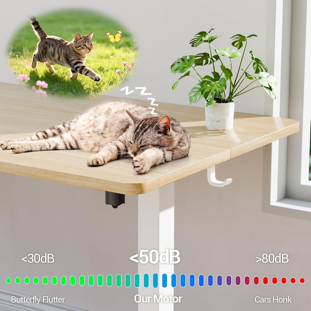 55 Inch Large Electric Standing Desk, Gaming Table, Nature | Height Adjustable Sit Stand Up Computer Tables , Study
