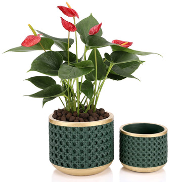 6&4.4 Inch Cement Planter Decorative Pots with Drainage Hole for All House Plants, Succulents, Flowers, and Cactus