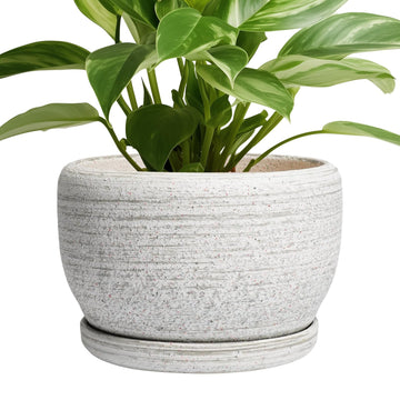 Ceramic Plant Pots - 8 inch Planter for Indoor Plants, Round Flower Pot with Drainage Hole and Plant Saucer, Modern