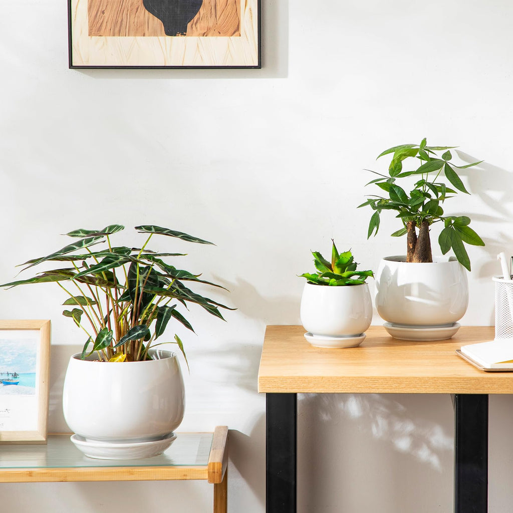 3-Pack Ceramic Plant Pots, 3.7/4.8/6.2 Inch Indoor Planters with Saucers & Drainage Hole Planter pots for Indoor