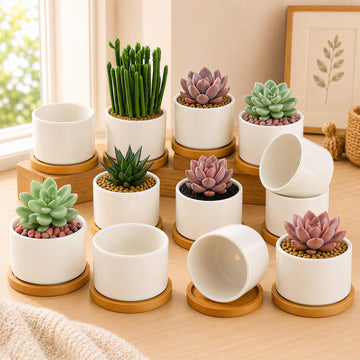 12 Pack 3.1" Ceramic Succulent Pots, White Planter with Drainage Tray