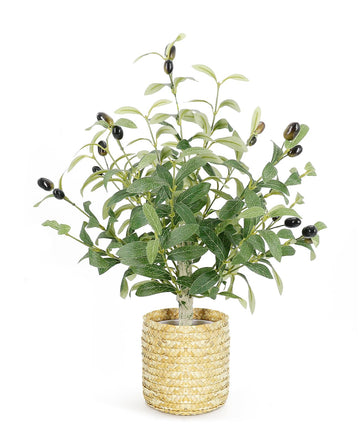 19-Inch Artificial Olive Tree with Hand-Woven Basket, Small Faux Potted Plant with 18 Lifelike Fruits & 226 Leaves