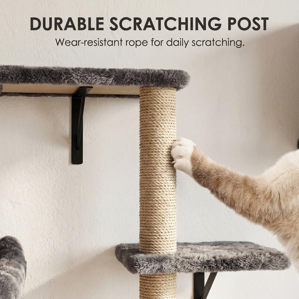 5in1 Cat Wall Shelves for Large Cats, Wall Mounted Climbing Furniture