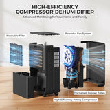 2000 Sq.Ft Dehumidifier for Basement, 30 Pints Dehumidifiers for Home with Drain Hose, 3 Mode, Auto Defrost