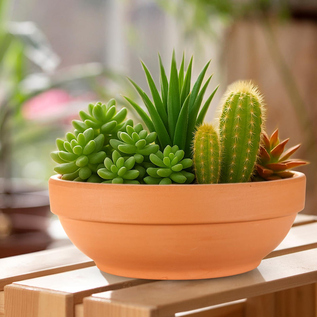 Terracotta Pots with Drainage Holes, Large 2 Pack, 8.66 Inch