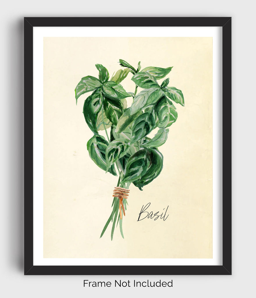 Kitchen Herbs Wall Art Prints - Set of 6-8x10 UNFRAMED Botanical Watercolor Illustrations of Basil, Parsley, Chives