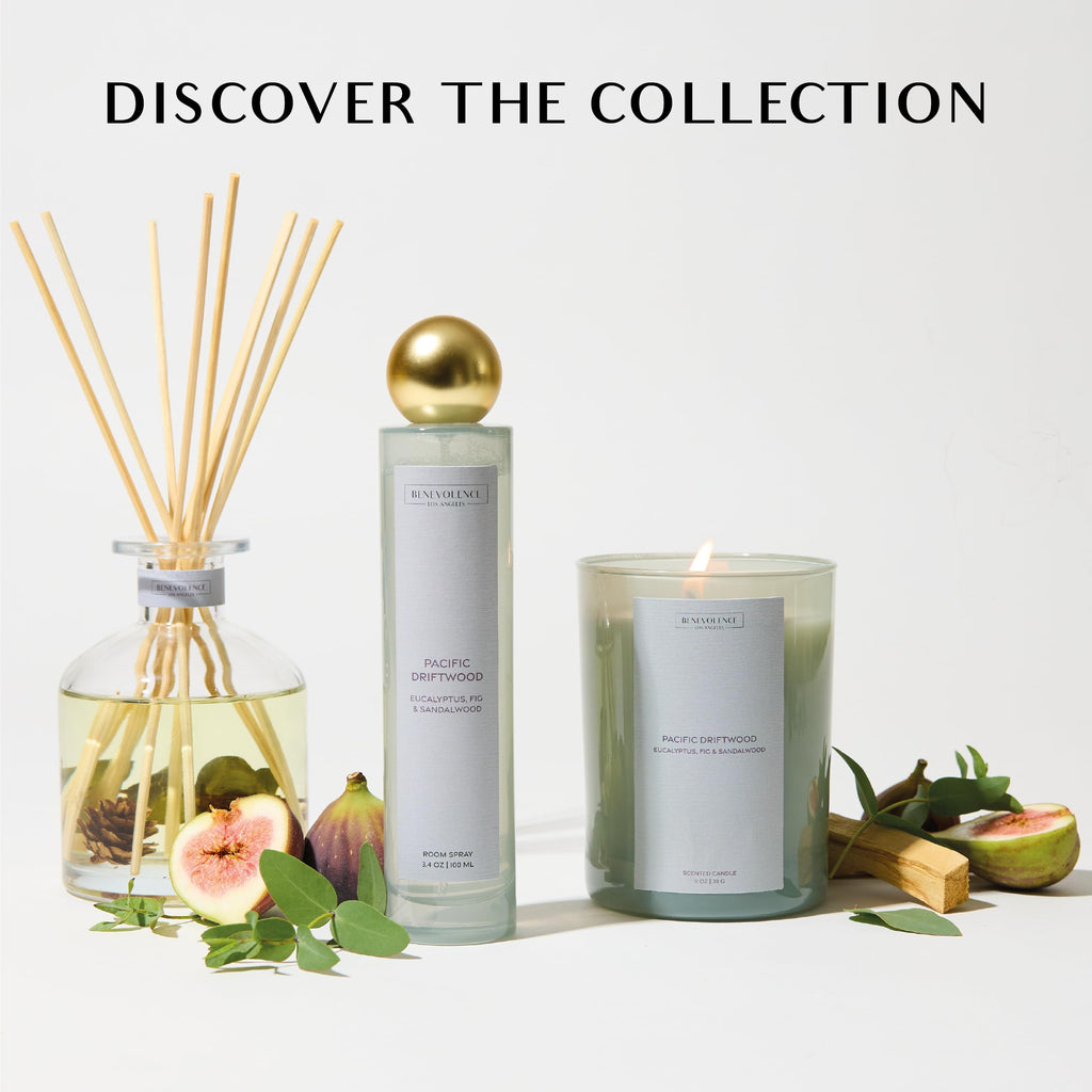 Pacific Driftwood Reed Diffuser | Eucalyptus, Fig & Sandalwood | Home Fragrance Diffuser | Long-Lasting Scent Sticks