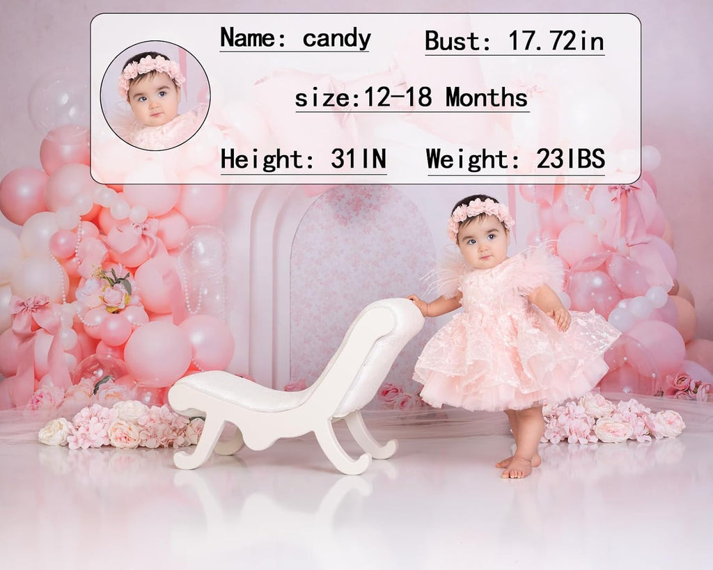Baby Girl Pageant Dress Up Flower Girl Dress Girls Special Occasion Dresses