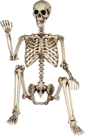 5.4ft Life Size Skeleton,Poseable Halloween Giant Skeletons Decorations Outdoor,Full Body Human Bones with Movable