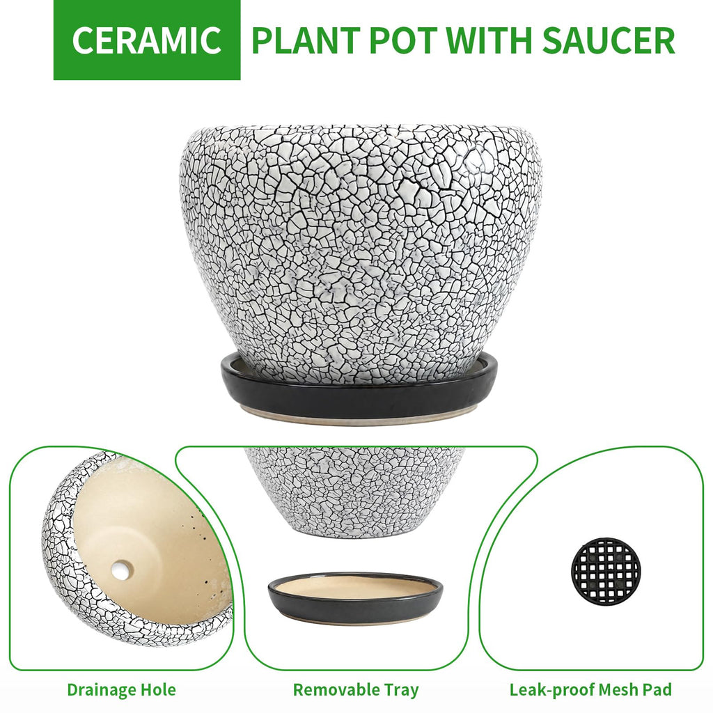 8 Inch Plant Pots- Ceramic Pots for Plants with Drainage Hole and Saucer, Large Planter Pot for Indoor Plants Outdoor